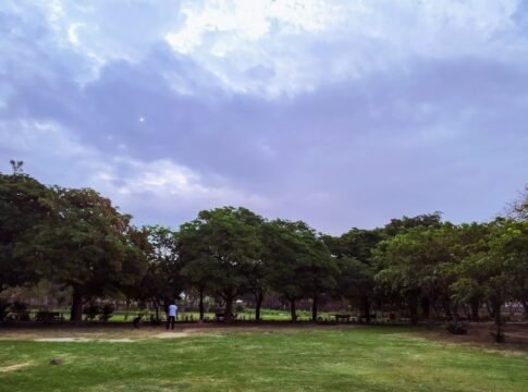 Serene park setting with lush greenery and a cloudy sky in New Delhi, perfect for relaxation.