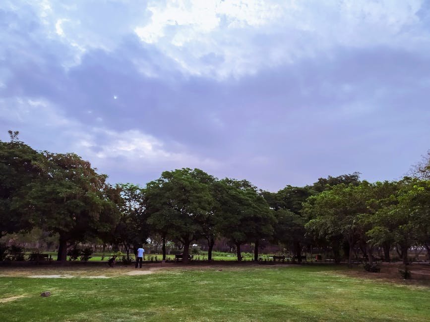 Delhi Gymkhana Club Staff Face Uncertainty as Centre Orders Eviction by June 5 Serene park setting with lush greenery and a cloudy sky in New Delhi, perfect for relaxation.
