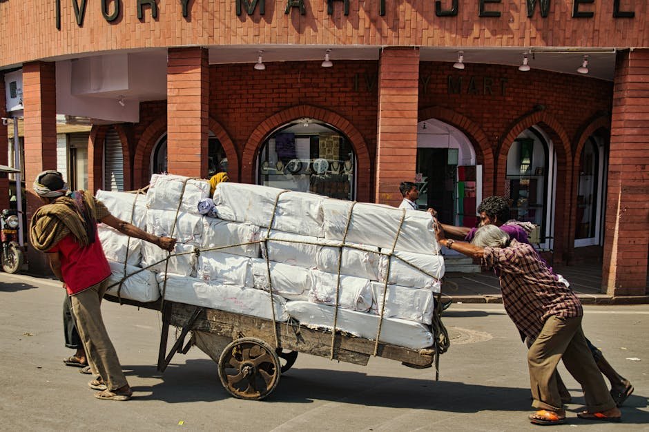 Delhi Startup Offers ‘Shopping Assistant’ Service for Rs 79 for 30 Minutes Two men exert effort pushing a heavy cart full of packages on an urban city street.