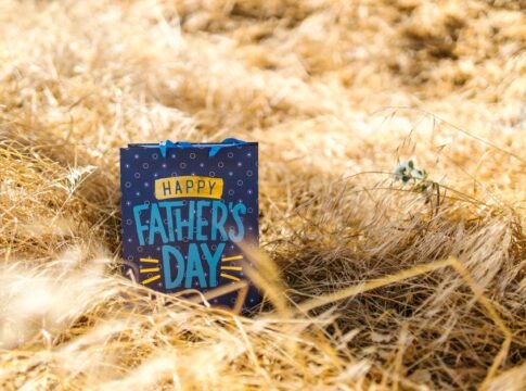 A Happy Father's Day gift bag sits amidst golden grass under the sun, celebrating the occasion.