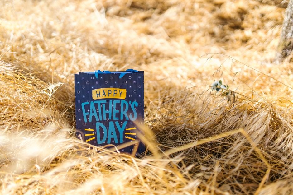 Delhi Offers Diverse Options for Father’s Day Celebrations This Weekend A Happy Father's Day gift bag sits amidst golden grass under the sun, celebrating the occasion.