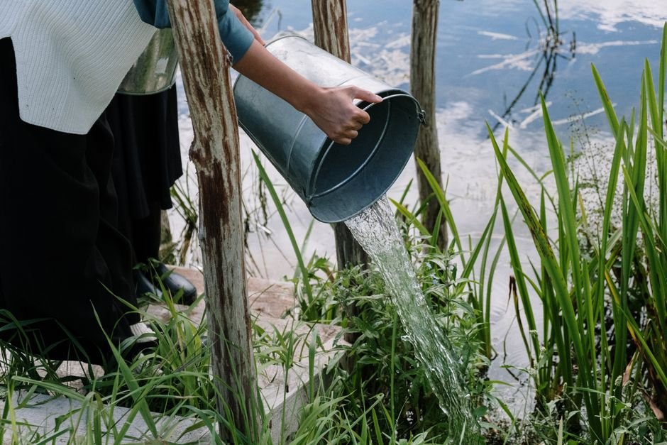 Maharashtra Urged to Expedite Water Conservation Efforts Amid El Niño Threat A person pouring water from a metal bucket into a pond surrounded by plants.