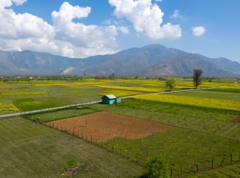 A scenic drone view of vibrant fields against the backdrop of towering mountains in Kashmir. A scenic drone view of vibrant fields against the backdrop of towering mountains in Kashmir.