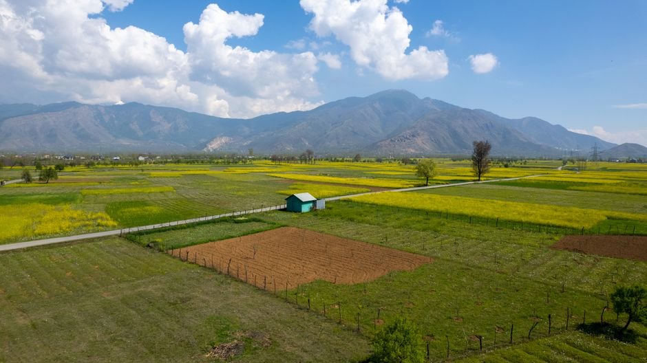 Jammu and Kashmir Eyes Weather-Based Crop Insurance Amid Policy Revision A scenic drone view of vibrant fields against the backdrop of towering mountains in Kashmir.