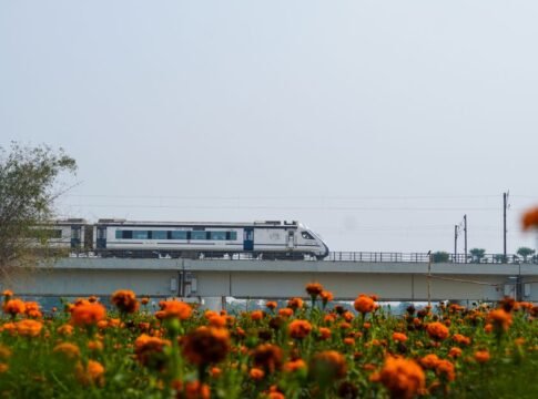 A sleek high-speed train travels across a raised bridge above vibrant orange marigold flowers. A sleek high-speed train travels across a raised bridge above vibrant orange marigold flowers.