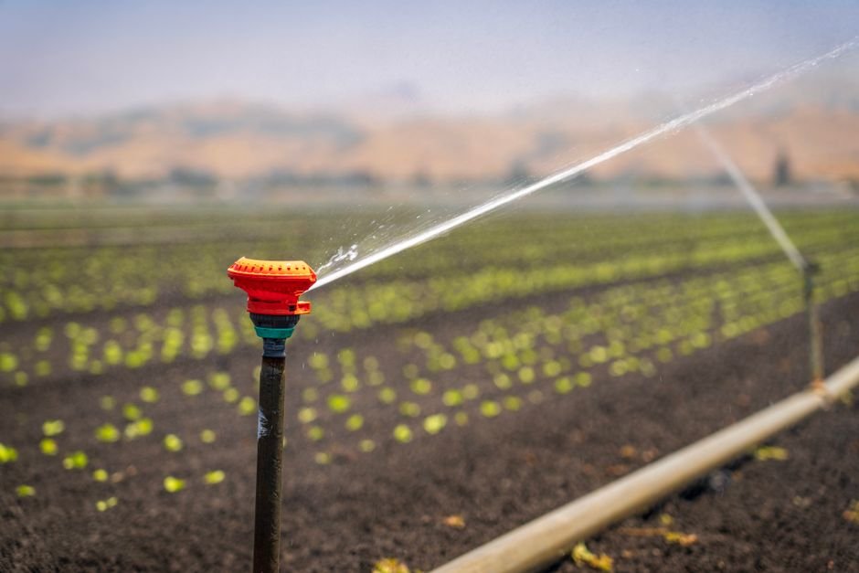 Jammu and Kashmir Orchardists Demand Urgent Operationalisation of Sirhama Lift Irrigation Scheme A sprinkler irrigating a green crop field in a rural landscape under a clear blue sky.