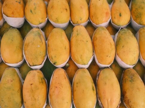 A vibrant display of ripe, yellow mangoes neatly arranged in a market setting. A vibrant display of ripe, yellow mangoes neatly arranged in a market setting.