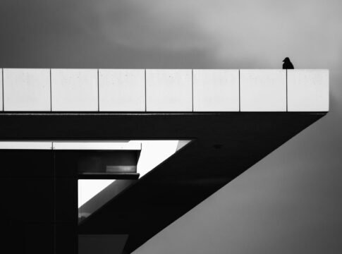 Black and white abstract architecture with a bird perched on the edge. Black and white abstract architecture with a bird perched on the edge.