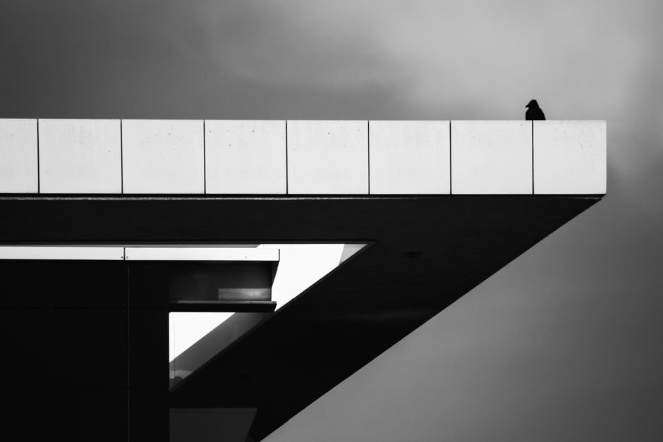 Jammu and Kashmir: IGP Kashmir Directs Full Preparedness for Amarnath Yatra Security Black and white abstract architecture with a bird perched on the edge.