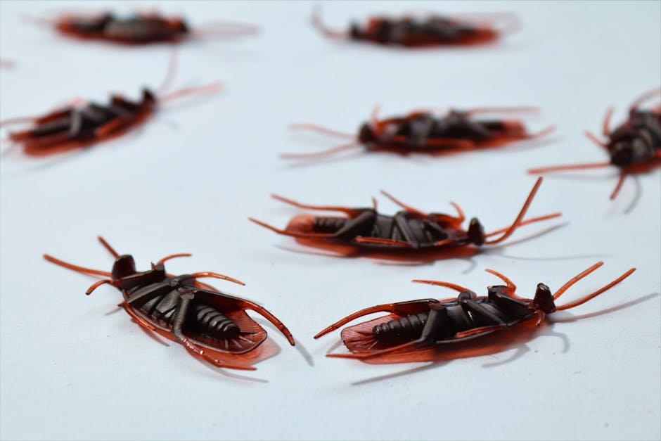Delhi: CJP Protests at Jantar Mantar Over NEET Paper Leak Allegations Detailed macro image of several dead cockroaches scattered on a white surface, depicting pest control.