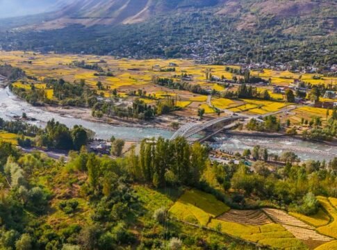 Explore the picturesque autumn fields and river in Ganderbal, India, with vibrant yellow hues and a serene atmosphere.