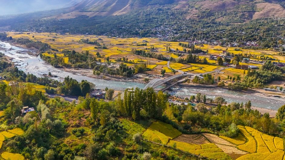 Jammu and Kashmir: Ganderbal Thang-Ta Championship Concludes with Display of Martial Arts Prowess Explore the picturesque autumn fields and river in Ganderbal, India, with vibrant yellow hues and a serene atmosphere.