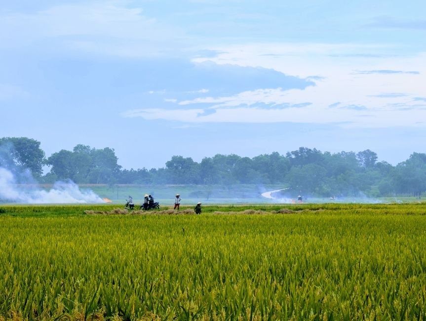 Andhra Pradesh District to Implement Online Fertilizer Allotment for Kharif Season Idyllic rural scene with farmers working in lush fields under a vast blue sky.