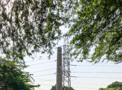 This Ashoka's pillar bears Asoka’s Edicts, I-V, partly or fully(Almost). The pillar was brought by Flruz Shah Tughluq from Meerut and erected at his hunting palace. This Ashoka's pillar bears Asoka’s Edicts, I-V, partly or fully(Almost). The pillar was brought by Flruz Shah Tughluq from Meerut and erected at his hunting palace.