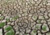 Union Cabinet Approves Rs 10,000 Crore SME Growth Fund Arid cracked soil with sparse green grass growth showcasing drought conditions.