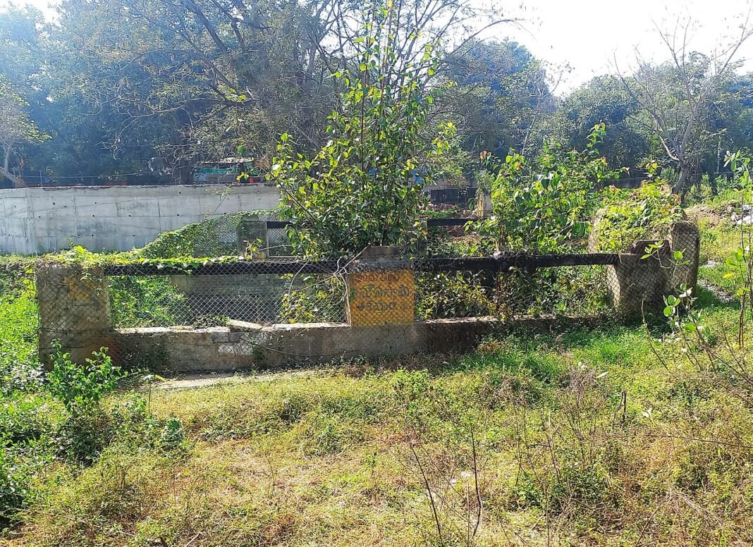 Andhra Pradesh: Srisailam Temple Tweaks Darshan for Common Devotees Bindu Theertham spring Tank near Kaalabhairava temple in Srisailam. Also known as Veerabhadra Matham
