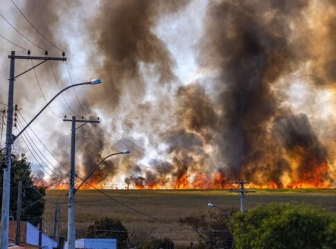 Rural landscape with a field engulfed in flames and thick smoke rising under a clear sky.