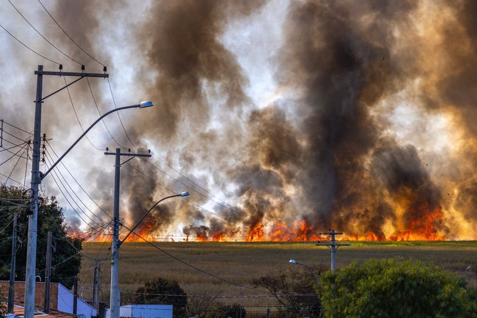 Wildfire Claims at Least 12 Lives in Spain Amid Severe Heatwave Rural landscape with a field engulfed in flames and thick smoke rising under a clear sky.