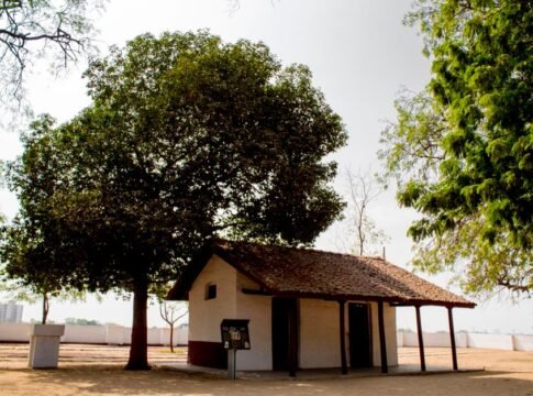 Serene bungalow surrounded by lush trees under a sunny sky, perfect for peaceful retreats.