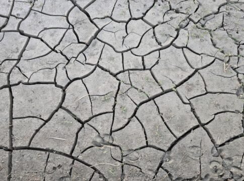 A detailed view of cracked, dry earth illustrating drought and climate change effects.