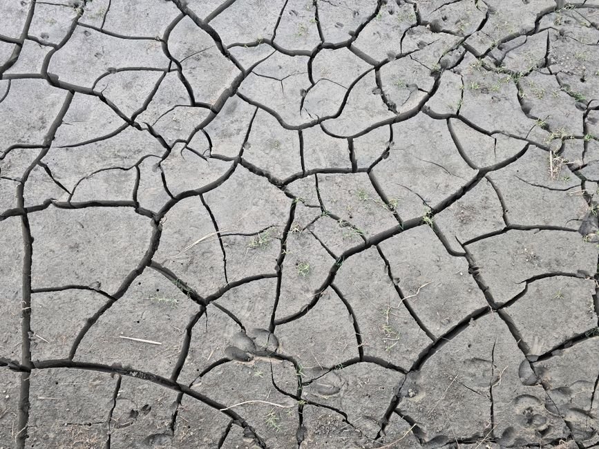 Pacific Nations Tackle Non-Economic Climate Losses at Regional Symposium A detailed view of cracked, dry earth illustrating drought and climate change effects.