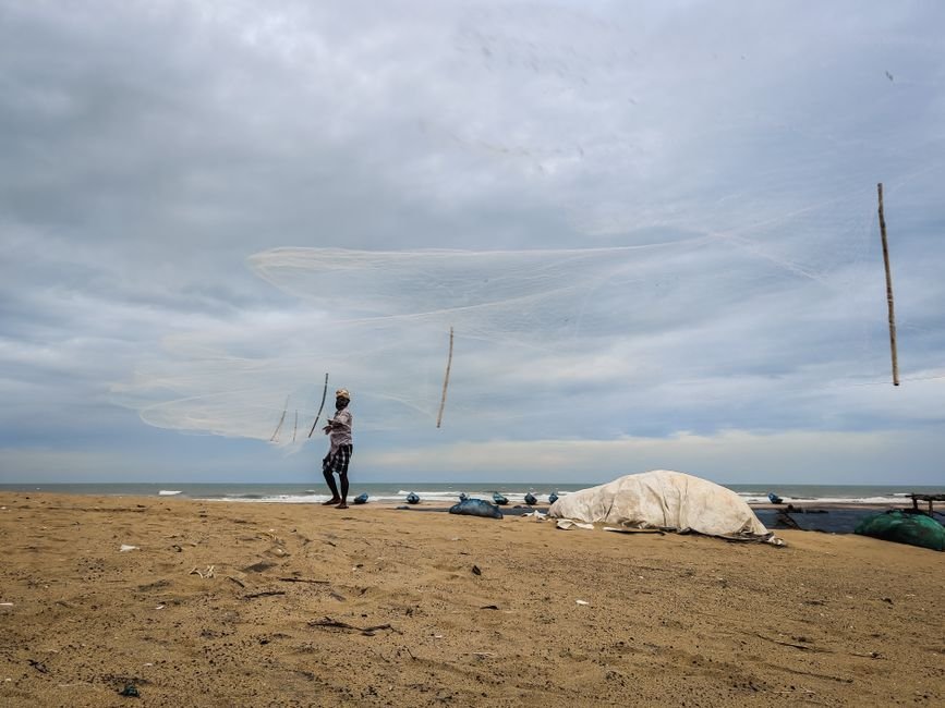 Mayiladuthurai Fisherman Dies in Saudi Arabia After Alleged Shooting Incident A fisherman skillfully casts a net on the sandy beach of Odisha, India under a cloudy sky.