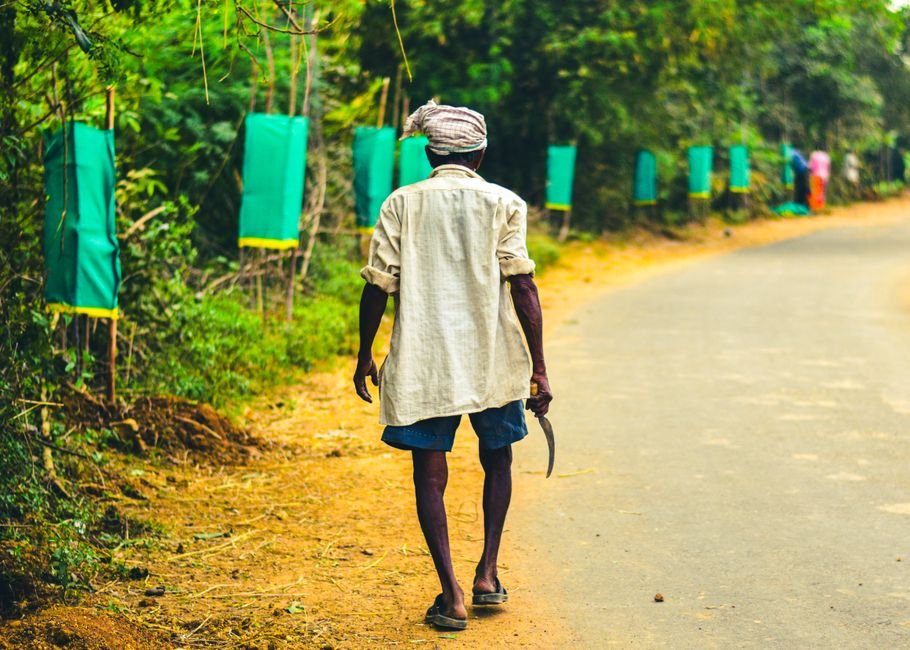 A man in a village road holding a tool, surrounded by nature in Chodavaram, India.