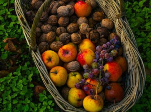 A rustic basket filled with apples, walnuts, and grapes placed on green foliage.