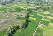 Jammu and Kashmir’s Fragile Ecology Under Threat from Climate Change A stunning aerial view of agricultural landscapes with lush green fields and trees near Srinagar.