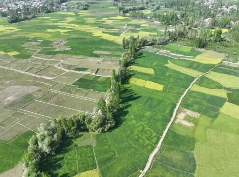 A stunning aerial view of agricultural landscapes with lush green fields and trees near Srinagar. A stunning aerial view of agricultural landscapes with lush green fields and trees near Srinagar.