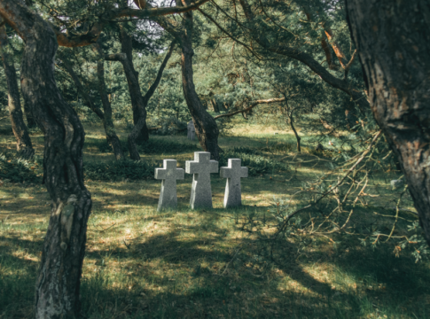Calm forest scene with graves amidst trees in Baltiysk, Russia.