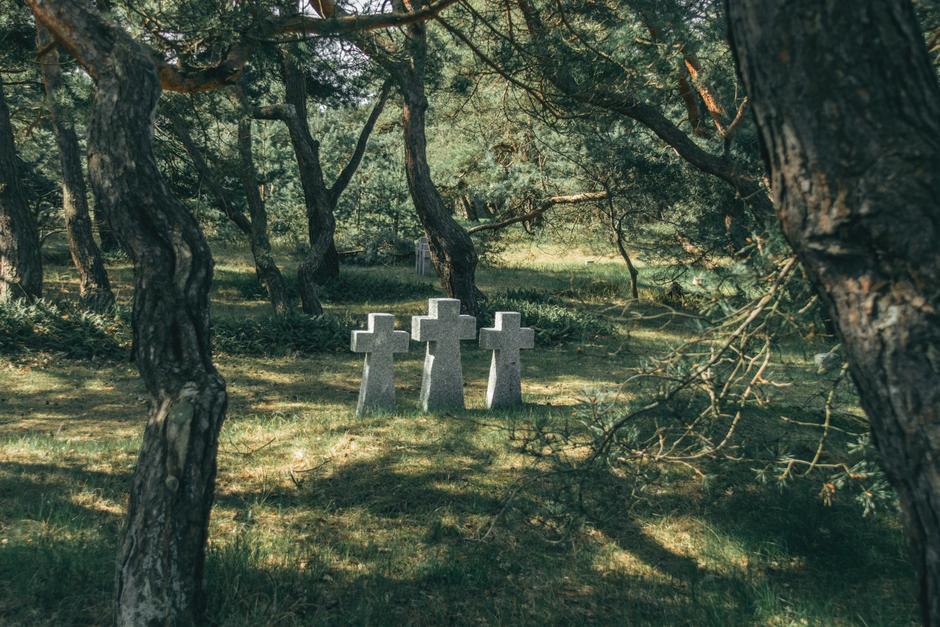 Karnataka Forest Killings Echo Andhra Pradesh Red Sanders Shootout of Tamil Woodcutters Calm forest scene with graves amidst trees in Baltiysk, Russia.