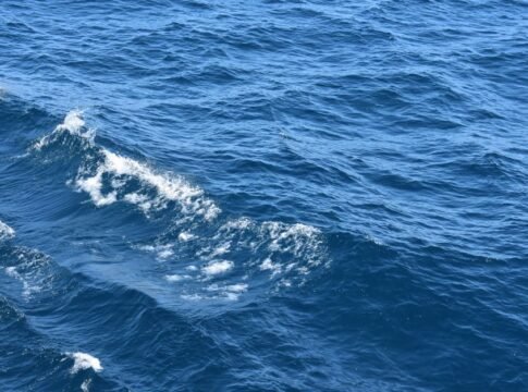 Close-up view of dynamic ocean waves and blue sea with white caps on a sunny day.