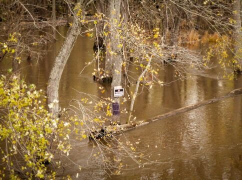 Flooded forest area with visible warning sign and autumn trees in the background.