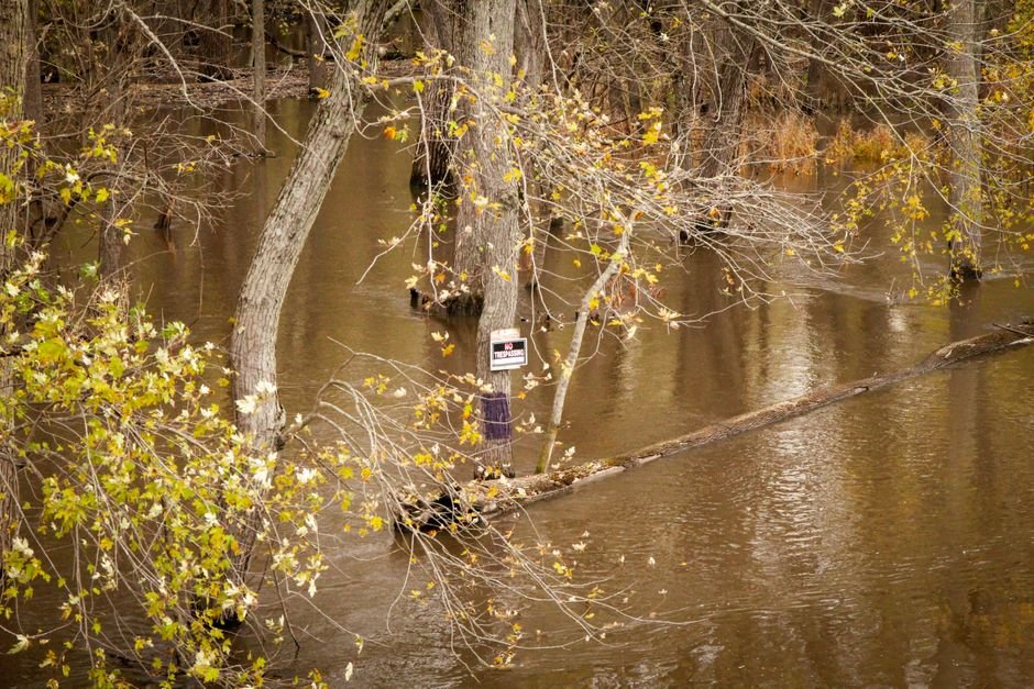 Jammu and Kashmir: Ujh River Surges Past Danger Mark in Kathua Amid Heavy Rains Flooded forest area with visible warning sign and autumn trees in the background.