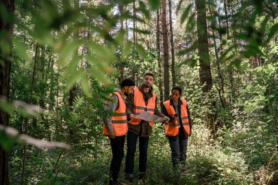 Jammu and Kashmir Forest Cover Grows by 224 Sq Km, Union Government Reports Three adults in safety vests examining a map in a lush forest setting, emphasizing teamwork.