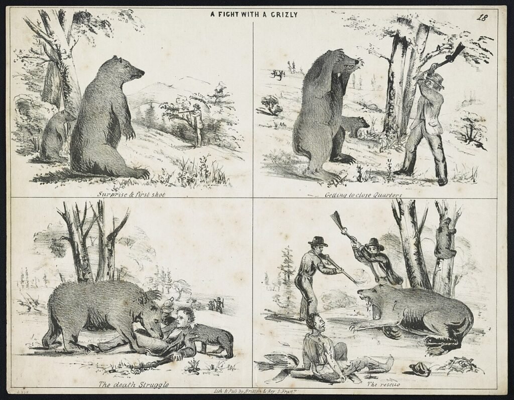 Title: A fight with a grizly [i.e. grizzly] / Lith. & Pubd. by Britton & Rey, S. Franco. Abstract/medium: 1 print : lithograph ; 20.8 x 26.8 cm.
