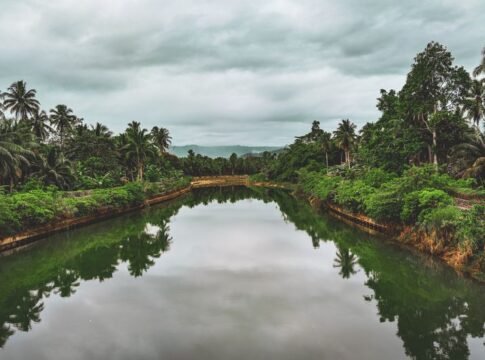 Tranquil river landscape with lush greenery and coconut trees in Baganga, Davao Region. Tranquil river landscape with lush greenery and coconut trees in Baganga, Davao Region.