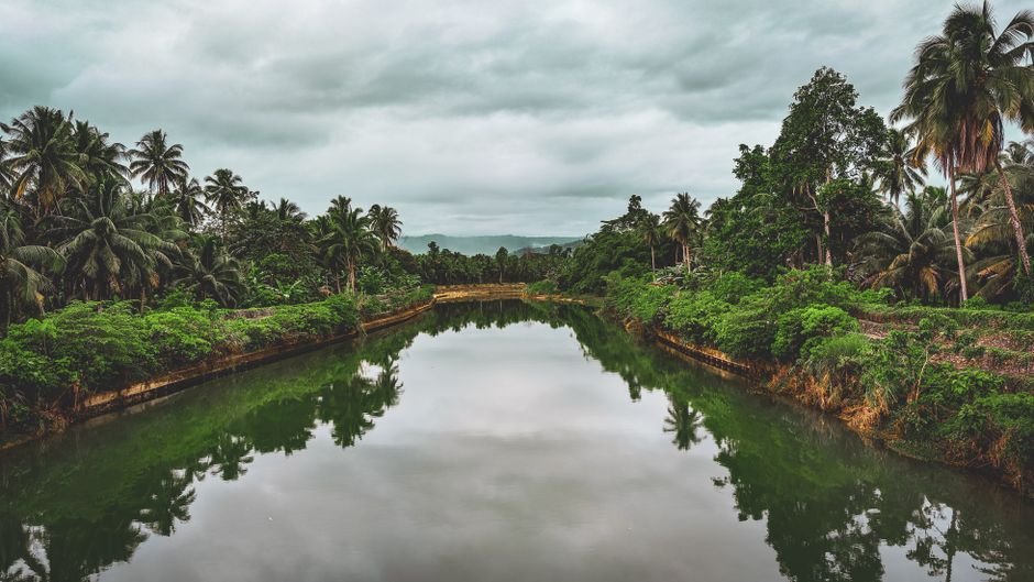 Seven Rescued From Swollen Ujh River in Kathua Amidst Heavy Rainfall Tranquil river landscape with lush greenery and coconut trees in Baganga, Davao Region.