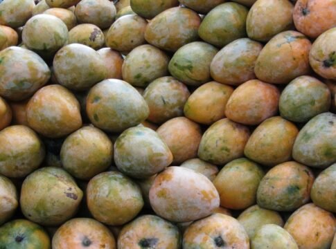 Vibrant Raspuri mangoes stacked on a street vendor's stall in Bengaluru, India, ready for sale.