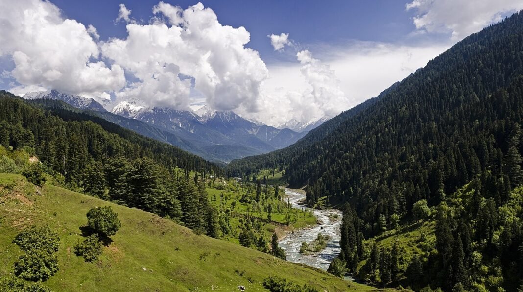 Jammu and Kashmir: Jhelum River Faces Environmental Crisis Amidst Pollution View of the Pahalgam Valley