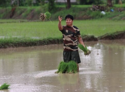 A farmer plants rice seedlings in a flooded paddy field in Lumbini Province, Nepal, during the monsoon season.