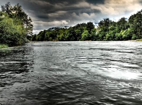 A scenic river view surrounded by lush trees under moody skies.