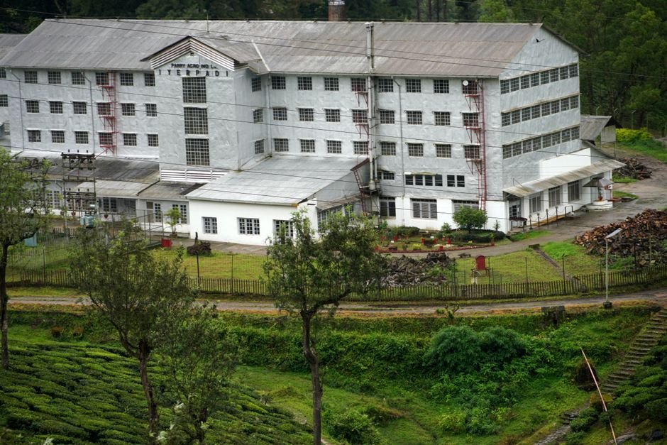 Indian Tea Sector Urged to Focus on Premium Varieties Amidst Global Competition A scenic view of a tea factory amidst lush greenery in Valparai, Tamil Nadu, India.