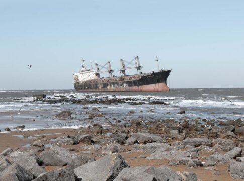Abandoned cargo ship on a rocky coastline with seabirds flying overhead.