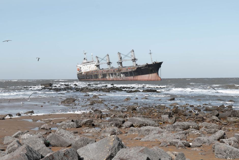 Tamil Nadu Shipwreck Study Reveals Persistent Nurdle Pollution, Evolving Ecological Impacts Abandoned cargo ship on a rocky coastline with seabirds flying overhead.