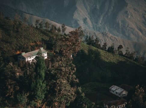 Beautiful aerial view of scenic tea plantations and houses in Munnar, India. Beautiful aerial view of scenic tea plantations and houses in Munnar, India.