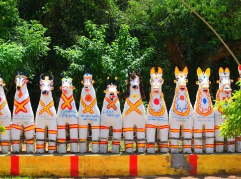 Colorful terracotta horse statues displayed outdoors in Karaikudi, Tamil Nadu, reflecting local culture. Colorful terracotta horse statues displayed outdoors in Karaikudi, Tamil Nadu, reflecting local culture.