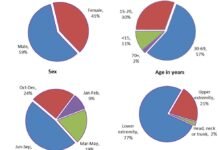 Reasi Woman Injured After Jumping From Window Following Son’s Death From article File:Trends in snakebite deaths in India from 2000 to 2019 in a nationally representative mortality study.pdf.