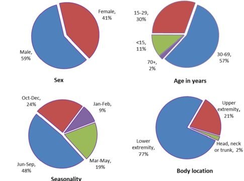 From article File:Trends in snakebite deaths in India from 2000 to 2019 in a nationally representative mortality study.pdf.